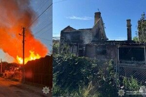 Коли вибухи війни і спів птахів – в унісон