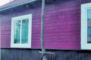 «Є такий наказ — ​ лелек убивати»