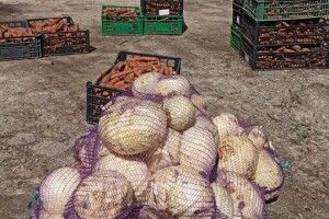 Мешканці Рівненського зоопарку одержали бомбезний морквяно-капустяний презент (Фото)