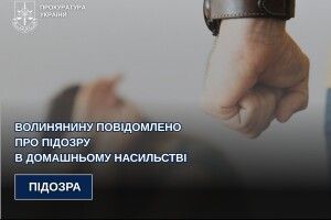 На Волині дебошир систематично бив та ображав дружину на очах у трьох їхніх дітей