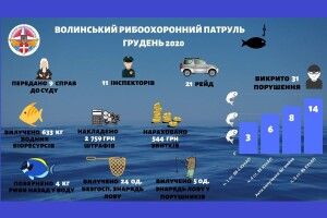 За місяць на Волині викрили 31 браконьєрство на воді