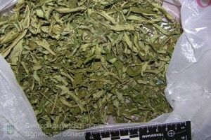 Ковельчанка зберігала кілограмовий пакет марихуани