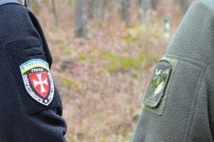 На Волині близько опівночі впіймали лісокрадів