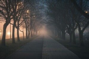 На Волині оголосили жовтий рівень небезпечності через туман