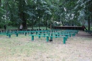 Старовинний Любешівський парк на Волині впорядкують