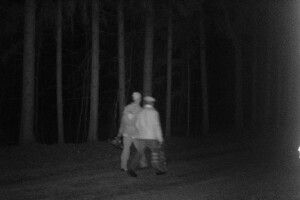 На Волині крадіїв лісу застрелили з «фоторужья» (Фото)
