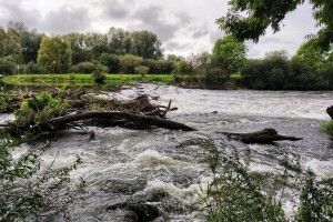 Лихо від дощів: на Волині Прип’ять може вийти з берегів і затопити пасовиська