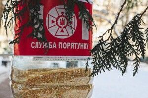 ДСНС України розгорнула спецоперацію із порятунку синичок (Фото)