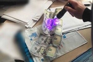 На Волині чиновниця не встояла перед 500 доларами