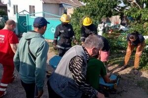 У Рівному підліток упав з дерева та наштрикнувся на металевий паркан