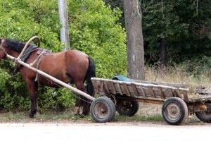 На Волині свідомий водій «здав» копам фурмана-порушника 