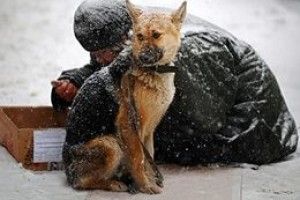 У Луцьку за три доби вже п’ята смерть серед безхатченків