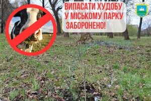 Священне місце чи пасовище: у громаді на Волині корови нищать Алею пам'яті Героїв