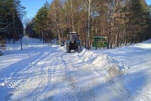 Волинські лісівники щодня прибирали по 400 км доріг