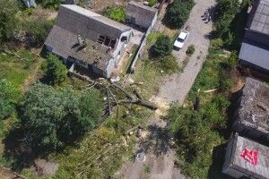 Дерево атакувало житловий будинок у Дніпрі