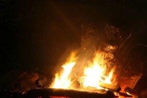 Під час пожежі в Київській області згоріло двоє дітей