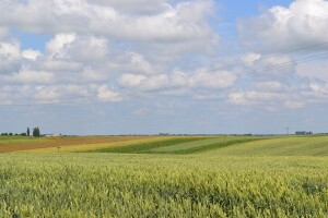 Уряд збільшив фінансову підтримку для малих фермерів