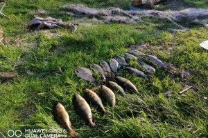 На Волині наскладали протоколів на рибалок