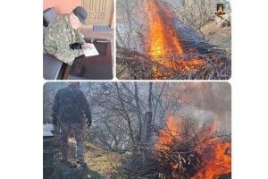 У Луцькому районі спіймали палія сухостою