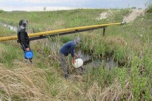 У волинському селі двох дядьків примусили випустити у воду спійманих ними двох в'юнів та двох щук (Фото)