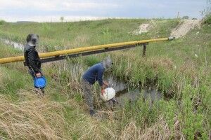 Волинські рибпатрульні викрили 4️5️ порушень правил рибальства (Фото)