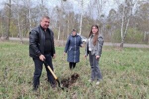 У громаді на Волині висадили алею могутніх дубів у пам'ять про полеглих Героїв (Фото) 