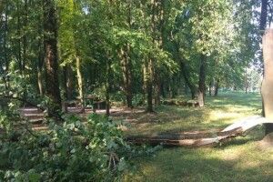 Буревій у Ковельському районі: вирвані дерева та розкриті дахи будинків