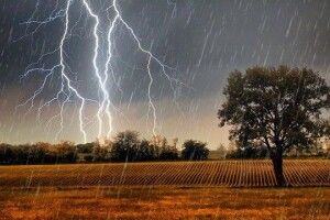 На завтра в Україні оголосили I рівень небезпечності: які області накриє негода