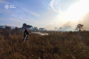 На Волині внаслідок необережного поводження з вогнем горів сухостій