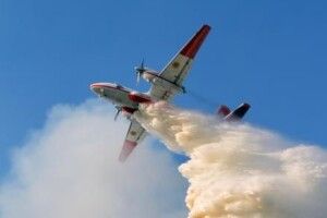 Лісова пожежа на Житомирщині спалахнула з новою силою: в небо підняли авіацію