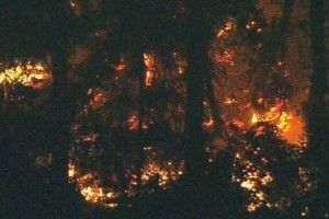 Вкрадений літак розбився у США