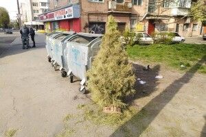На Вербну неділю рівнянин вирішив позбутися новорічної ялинки (фото)