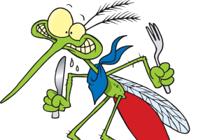 Як здобути перемогу над комарами?