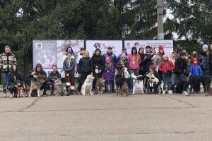 У Рівному благодійний забіг із собаками зібрав 3 тисячі гривень