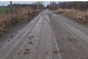 У селі поблизу Луцька покарали порушника благоустрою