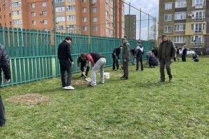 Дуби Шевченка єднають Україну: на території Луцького ліцею висадили 25 молодих дерев-спадкоємців