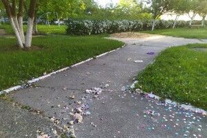 У 55-му мікрорайоні Луцька опівнічна свинота гучно відзначила настання календарного літа (Фото)