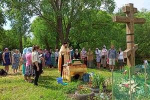 Через зарослі і сміття пробилося джерело