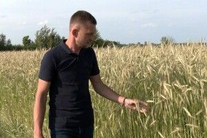 «Коли я приїжджаю на поле, я відпочиваю»: волинська сім'я обробляє понад 80 гектарів землі (Відео)