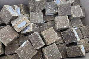На Волині почали розкидати вакцину від сказу