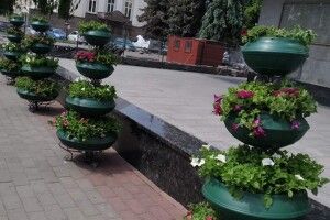Луцьк прикрасили квітковими термочашами (Фото)