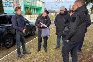 На Рівненщині голова громади за хабар дозволив зрубати майже 800 новорічних сосен