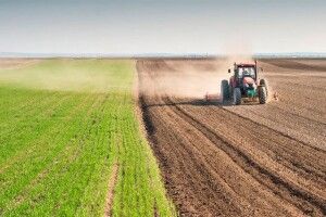 Малі аграрії Волині зможуть отримати фінансову підтримку від уряду