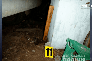 На Рівненщині селянин вдарив співмешканку сокирою по голові й ліг спати 