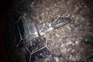 А у вагоні замість щебню — тисячі пачок цигарок!