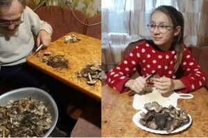 У турійських лісах грибний сезон триває і в січні