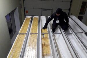 Громадянин Білорусі намагався ввезти в Україну партію контрабандних сигарет (Фото)