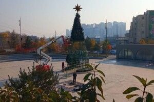 У Києві почали встановлювати новорічну ялинку (Фото)