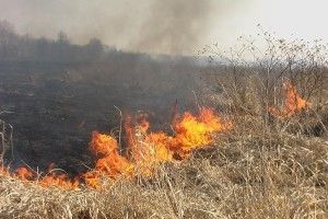 Палієві з поліської глибинки «світить» штраф