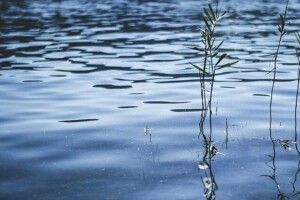 Цього року на воді вже загинуло 12 волинян